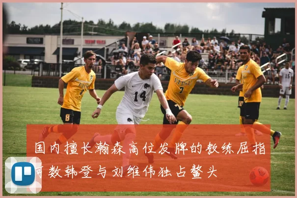 国内擅长瀚森高位发牌的教练屈指可数韩登与刘维伟独占鳌头